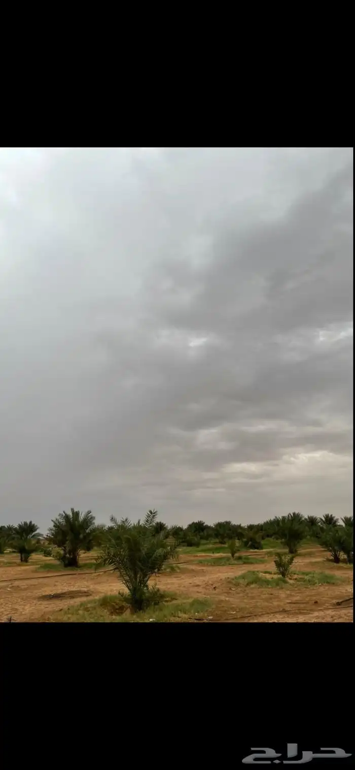 مزرعة للبيع في وادي الدواسر بصك اكتروني مساحه 406000 0