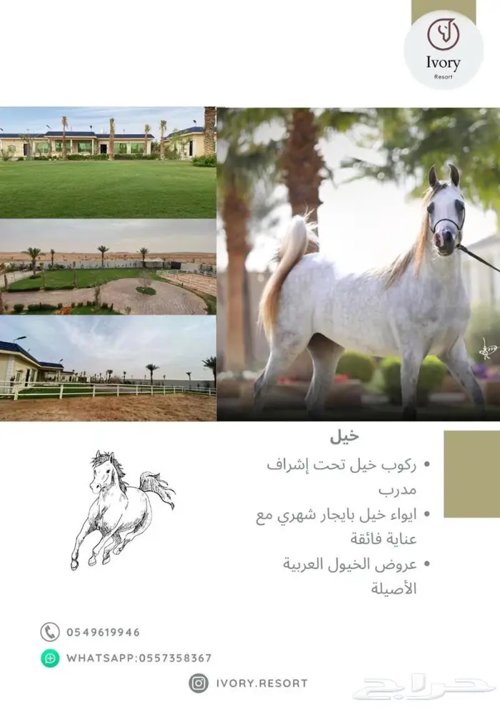 إيواء وغرف خيل ربط للإيجار الشهري ومنتجع 0