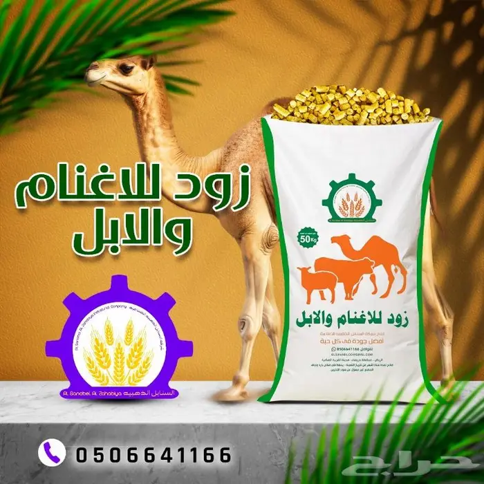 مكعبات حمام و حملان و ابل 4