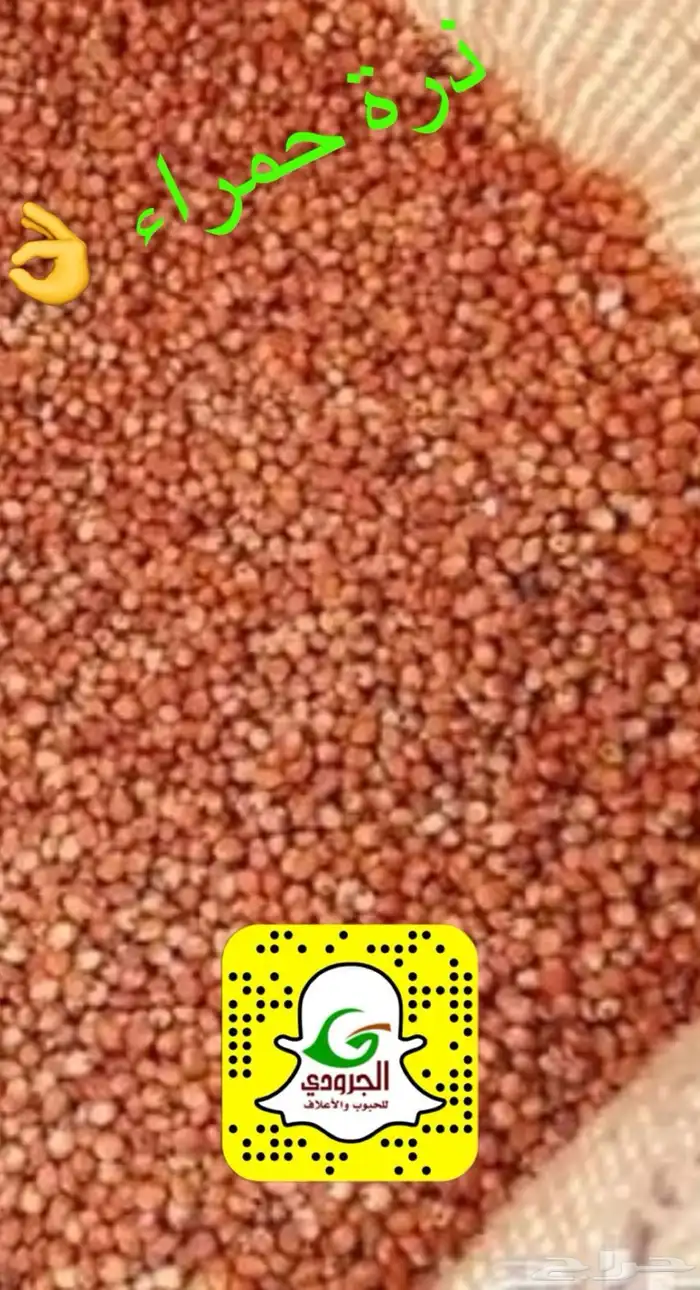 بيع اعلاف ماشية وطيور بااقل الاسعار مع التوصيل 28