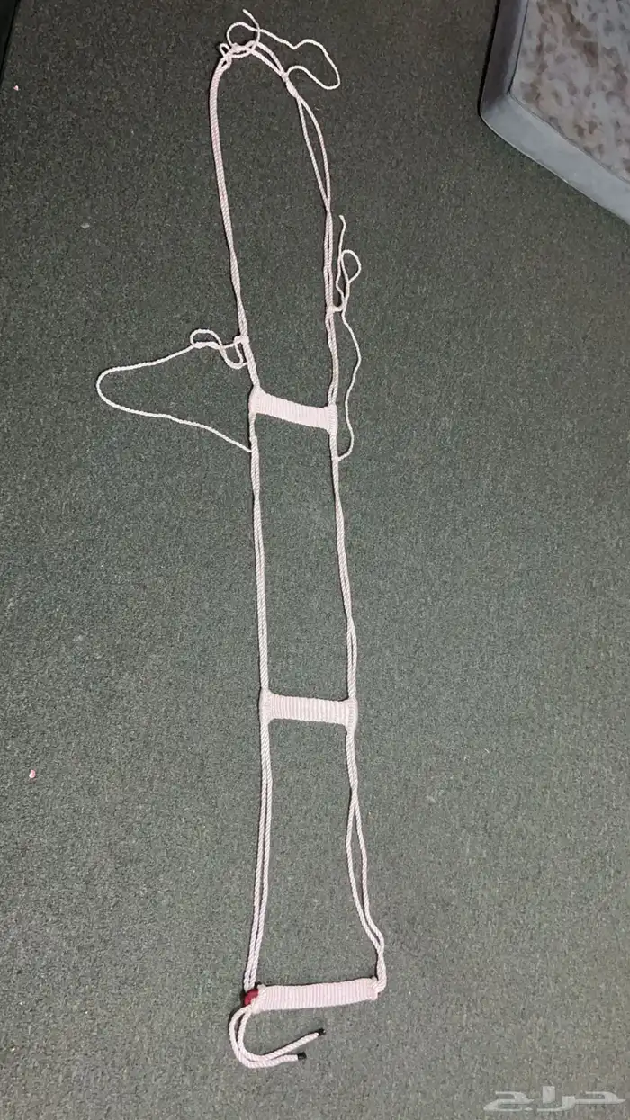 شمل وجنب 0