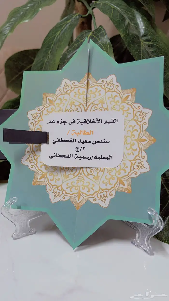 صندوق التاجر مطويات بوكس العزوبيه 8
