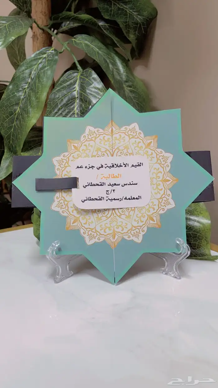 صندوق التاجر مطويات بوكس العزوبيه 12