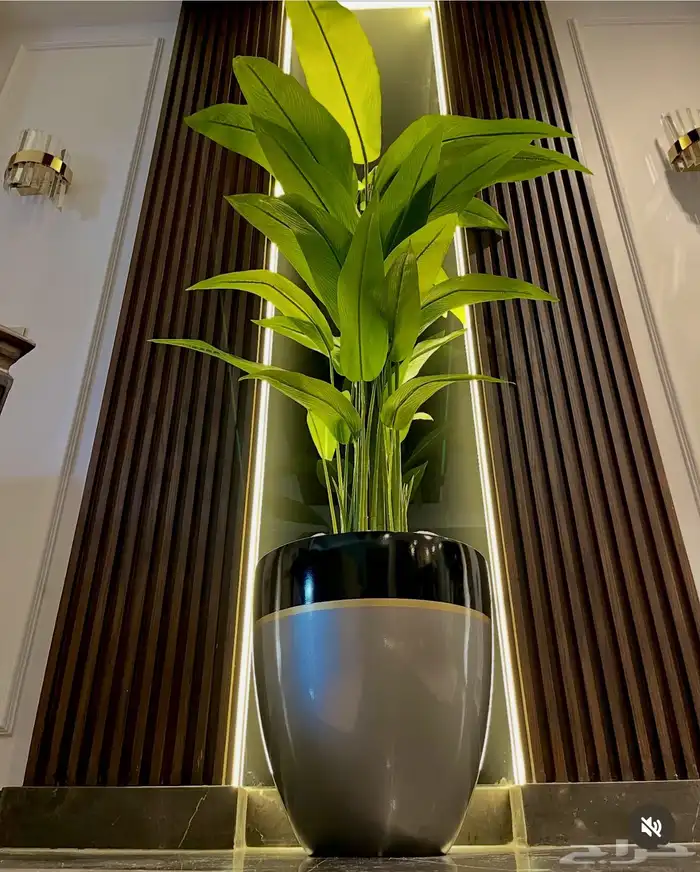 عشب 10