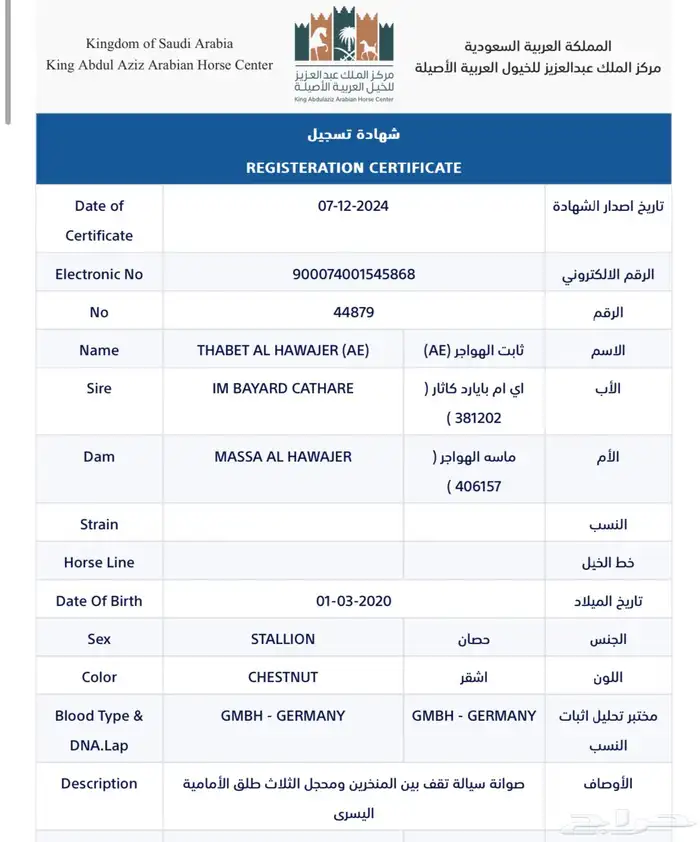 ثابت الهواجر ( مستورد من الامارات ) 3