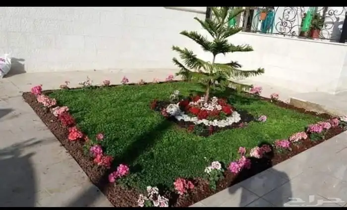 زراعه وحدائق 10