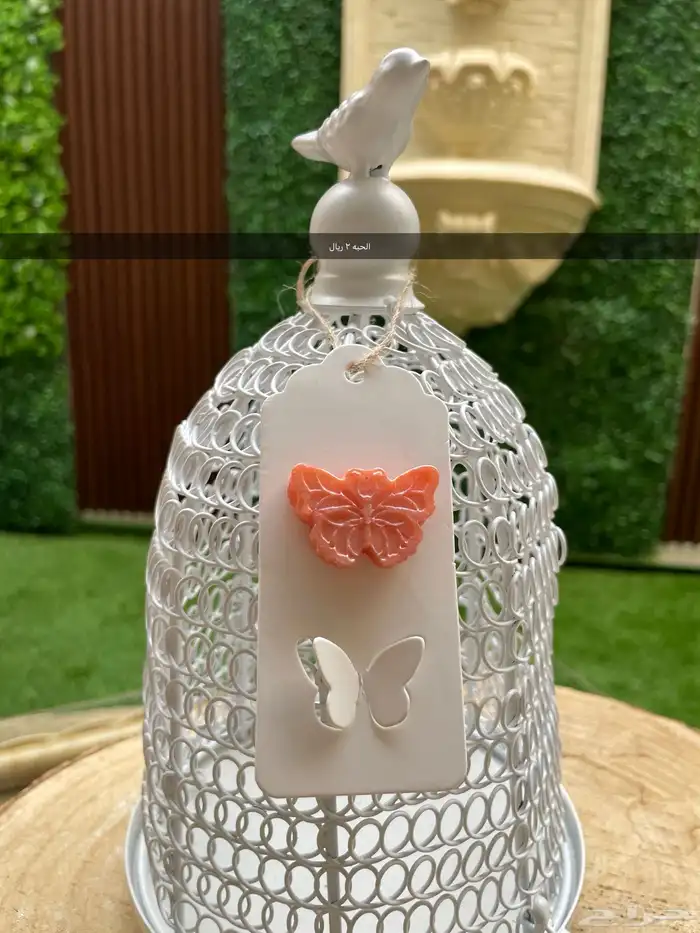 توزيعات مستكة معطرة 1