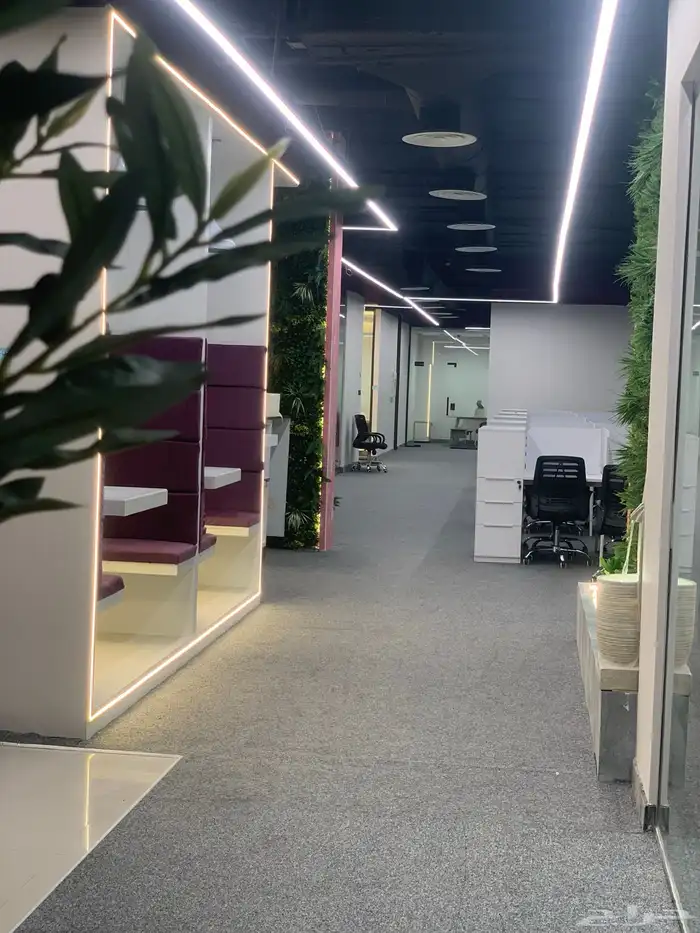 مكاتب للإيجار حي الربوة راقية ومرتبة 0