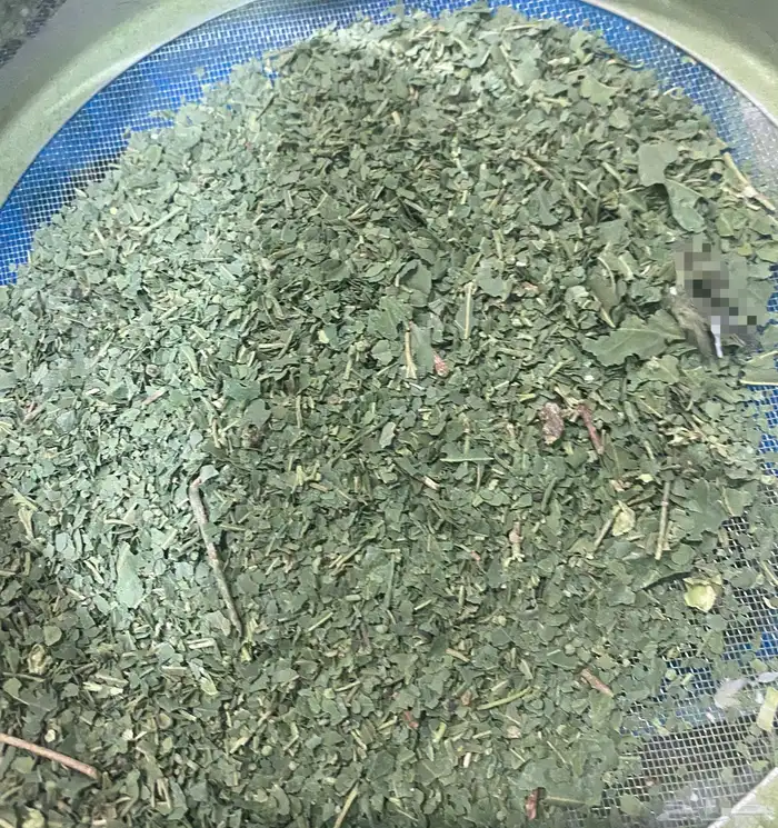 سدرمطحون ورق حنا ورق 3