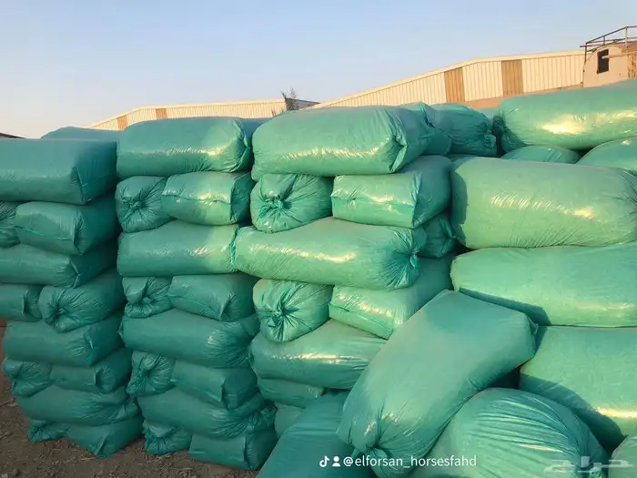 نشاره خيول نظيفه وجديده 0