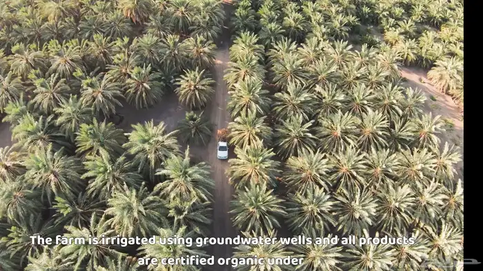 تصوير جوي درون طائرة بدون طيار 60