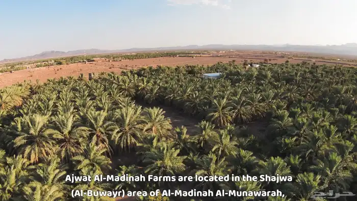 مصور درون 4K 25