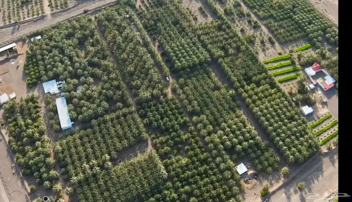 تصوير جوي درون طائرة بدون طيار 59