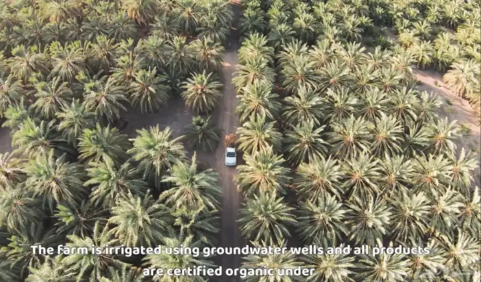 مصور درون 4K 23