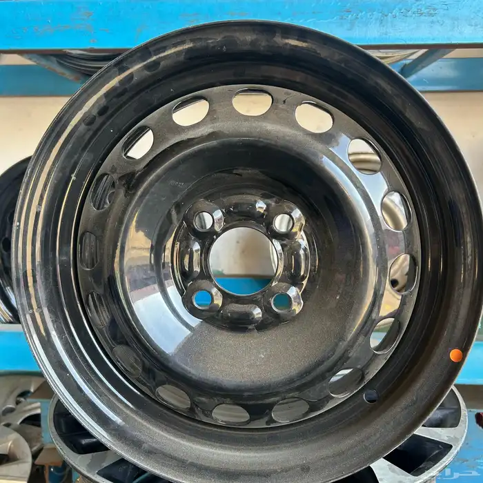 جنوط سَوح نيسان ( صني ) الهندي 2