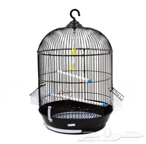 متجر Modi Birds 7