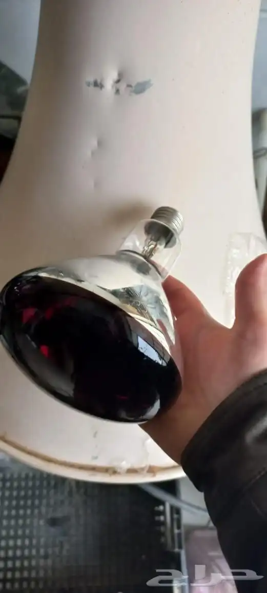 لمبات تدفئه 1