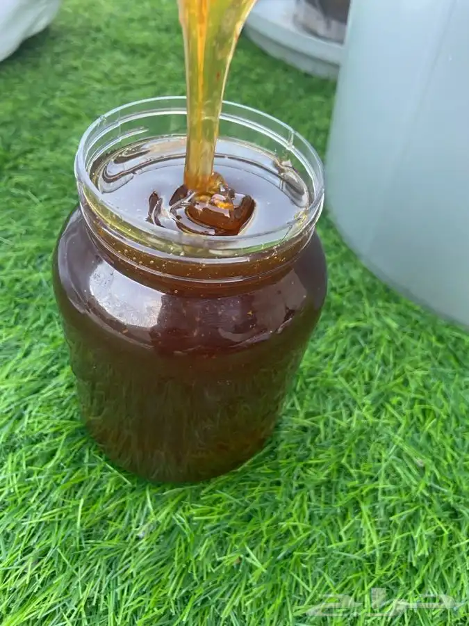 عسل طلحه وسمره شرط اصلي ذمه ومانه 1