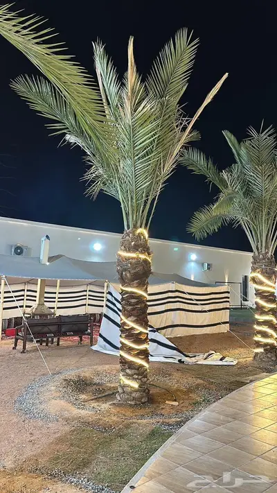 منتجع بيسان لاند للايجار اليومي 11