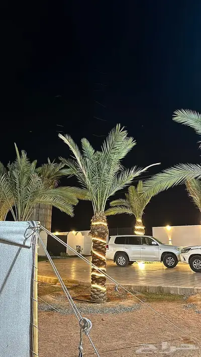 منتجع بيسان لاند للايجار اليومي 13