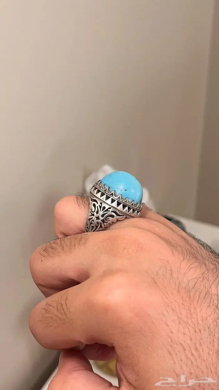 فيروز نيشابوري قبة طبيعي 8
