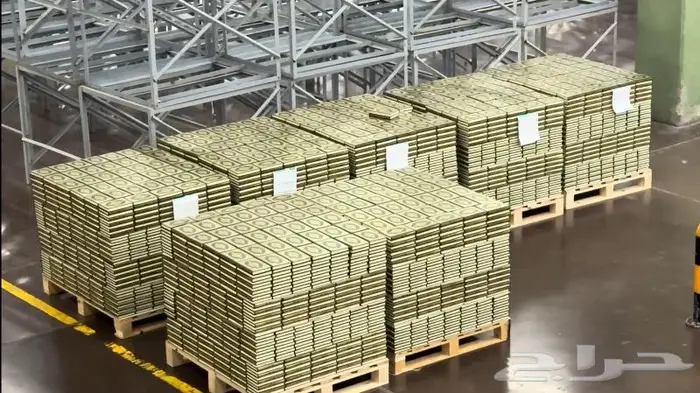 مصور درون تصوير كاميرا 43