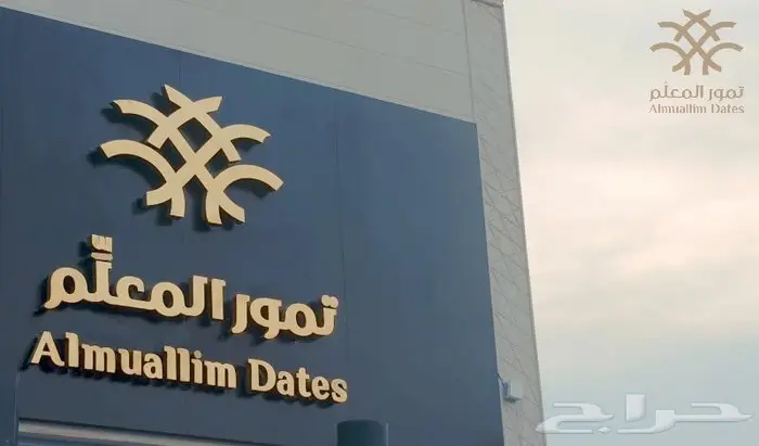 مصور درون تصوير كاميرا 15