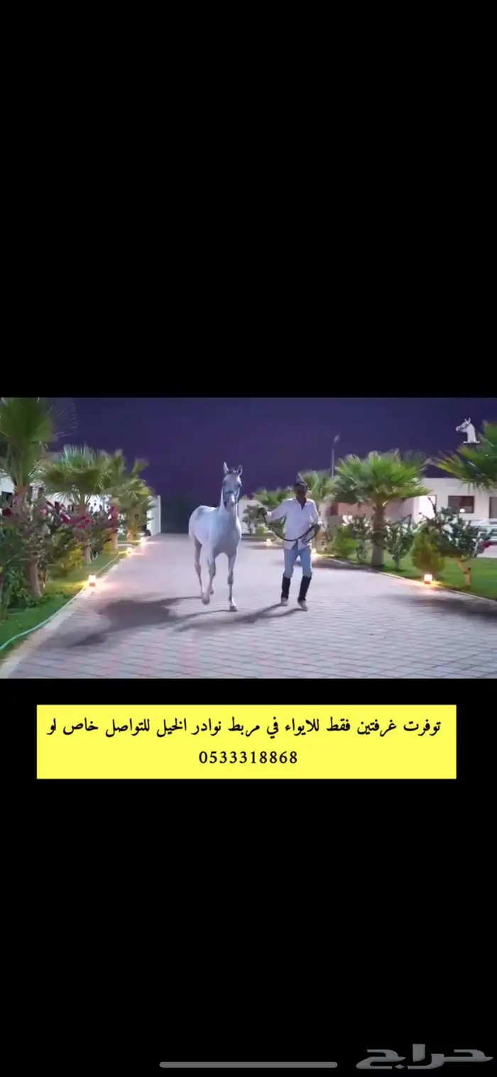 اسطبل عالمي 2