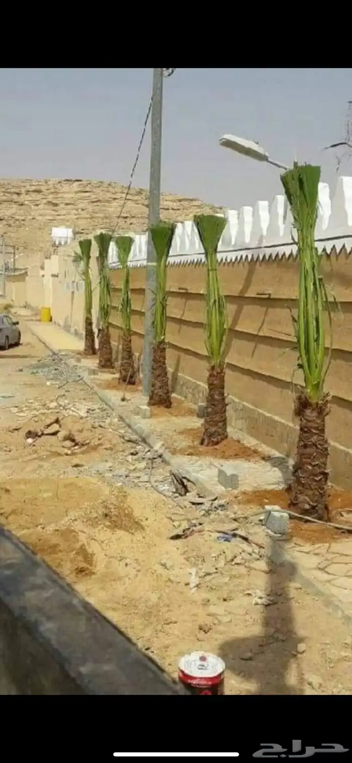 زراعه وحدائق 8