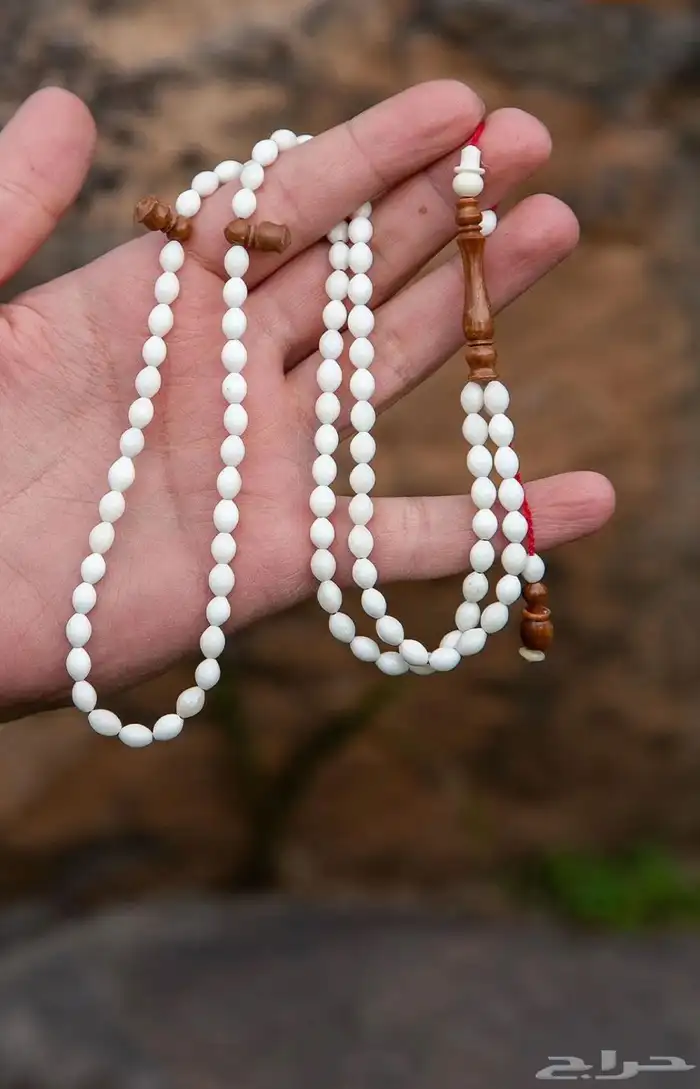 سبح انواع واشكال 28