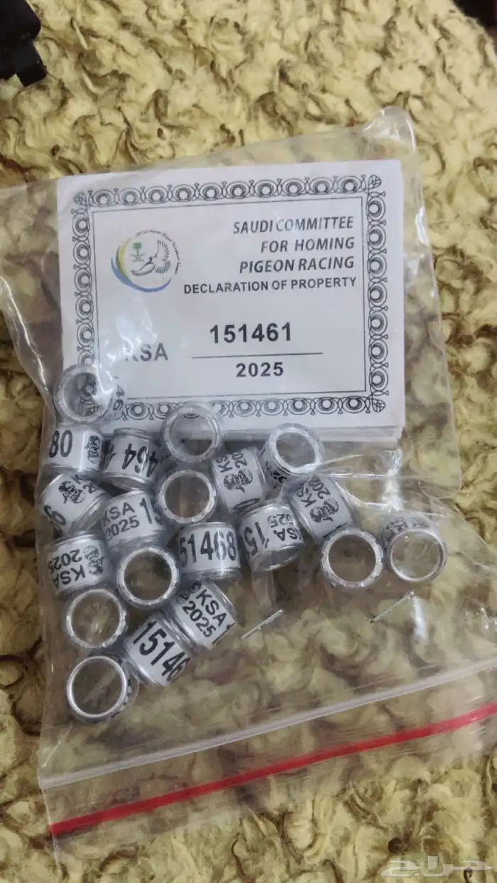 حجول زاجل 0