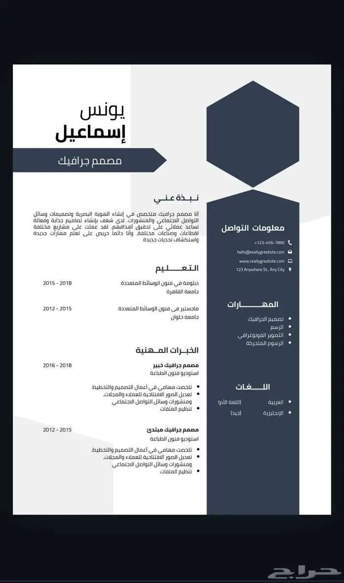 سيرة ذاتيه احترافيه 20 بالعربيه والانجليزي 5