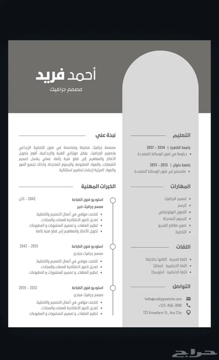 سيرة ذاتيه احترافيه 20 بالعربيه والانجليزي 3