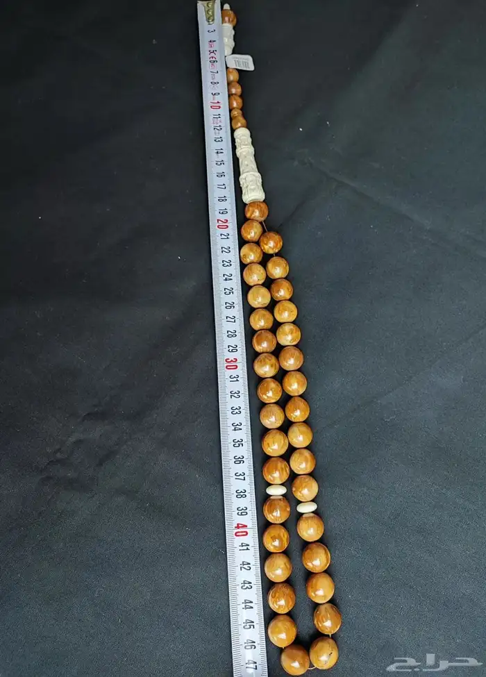 سبح انواع واشكال 19