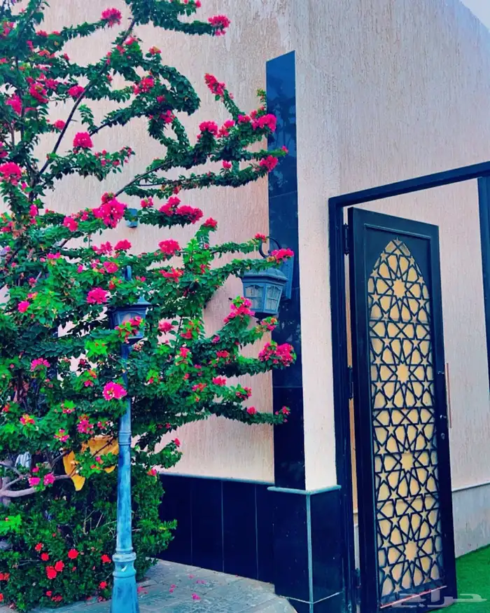 مجموعة ليالي نجد 17