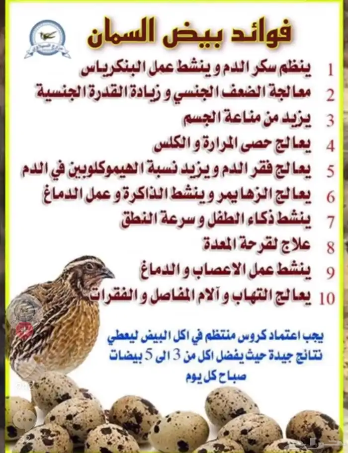 سمان فري ودجاج وبيض مريعي 1