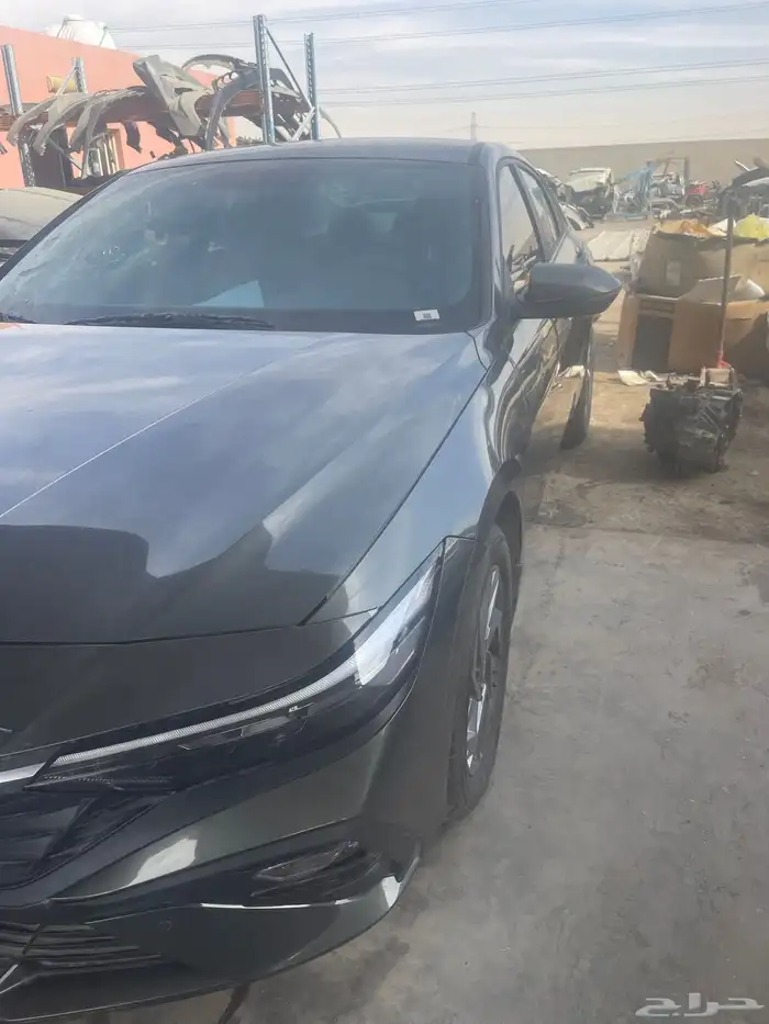 النتراء 2024 2 2025لون زيتي تشليح 1