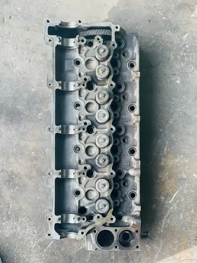 راس ديانا. 4HF1 4HG1 ستندر 2