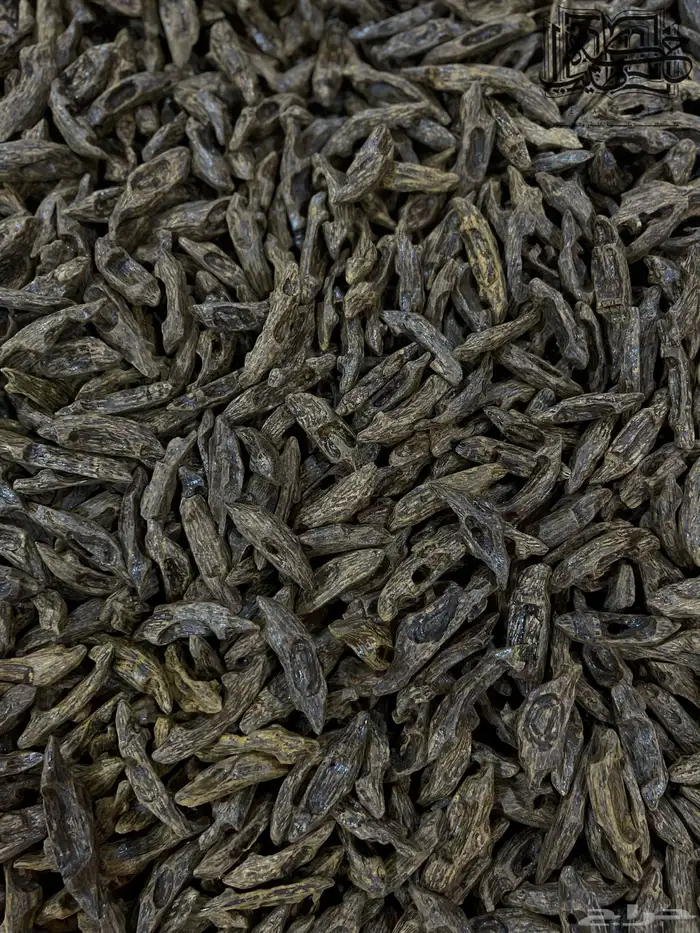 عود كلمنتان ملكي طبيعي محسن فاخر (عرض مؤقت) 1