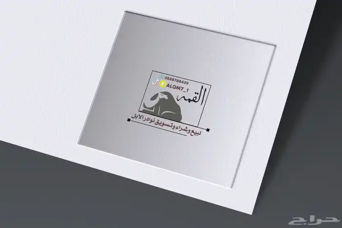 تصميم لوقو واشياء آخرى 66