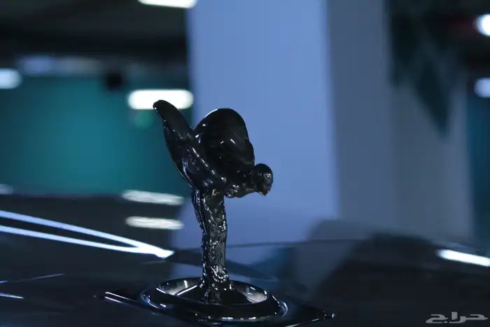 مصور سيارات لعرضها للبيع 7