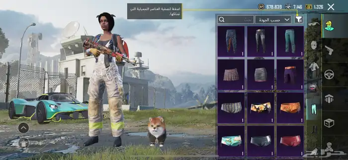 حساب ببجي 44