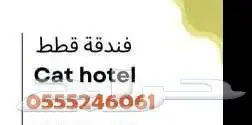 فندقة قطط وطيور 6061 24 0555 شاهد التقييم 5 نجوم 1