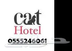 فندقة قطط وطيور 6061 24 0555 شاهد التقييم 5 نجوم 3