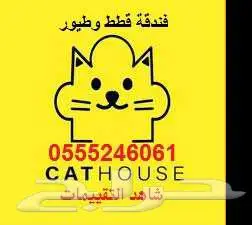 فندقة قطط وطيور 6061 24 0555 شاهد التقييم 5 نجوم 0