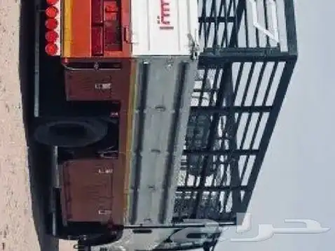 مشوار دينا نقل أي غرض 0
