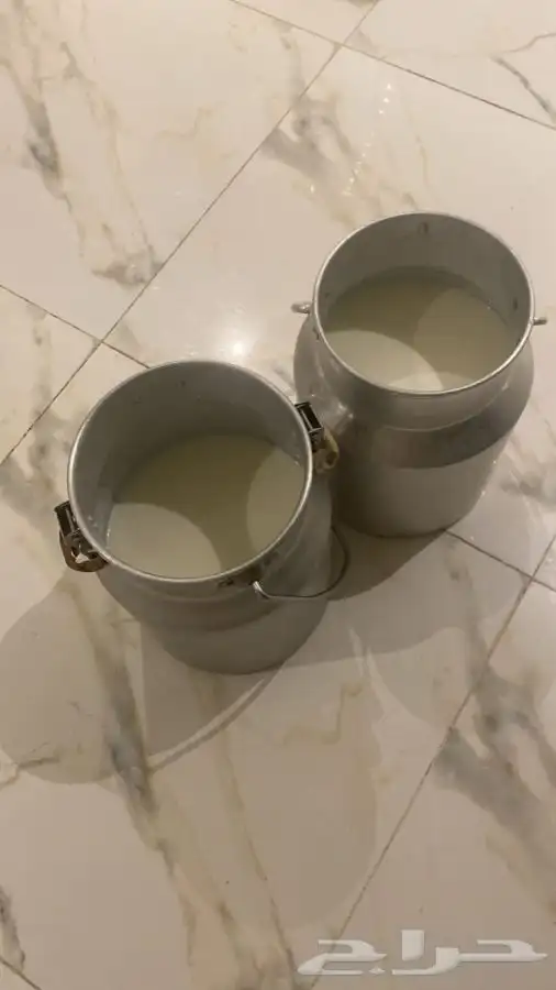 للبيع سمن وحقينة او لبن وحليب بقر وماعز 4