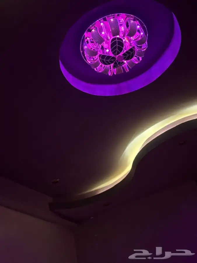 نجف للبيع 5