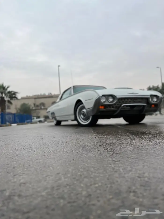 ثندر بيرد كلاسيك نادره 4