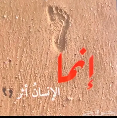 استشارات قانونية 0